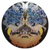 HAMADARAKA