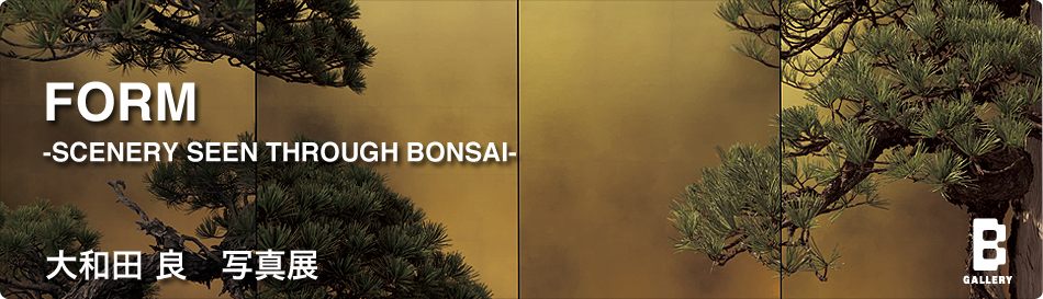 FORM -SCENERY SEEN THROUGH BONSAI-