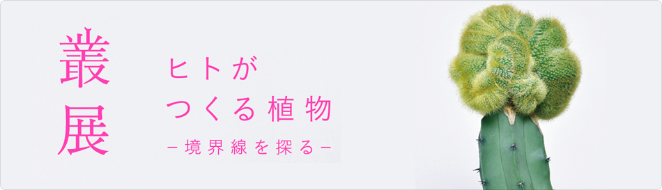 叢 – Qusamura 展覧会 「ヒトがつくる植物 〜境界線を探る〜」