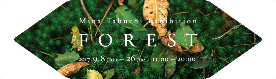 田淵三菜 展覧会『FOREST』