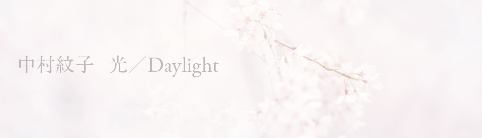 アーティスト中村紋子の写真展『光/Daylight』Bギャラリーにて開催