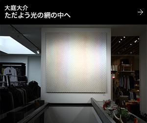 大庭大介 ただよう光の網の中へ