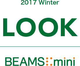 2017 AUTMUN LOOK BEAMS mini