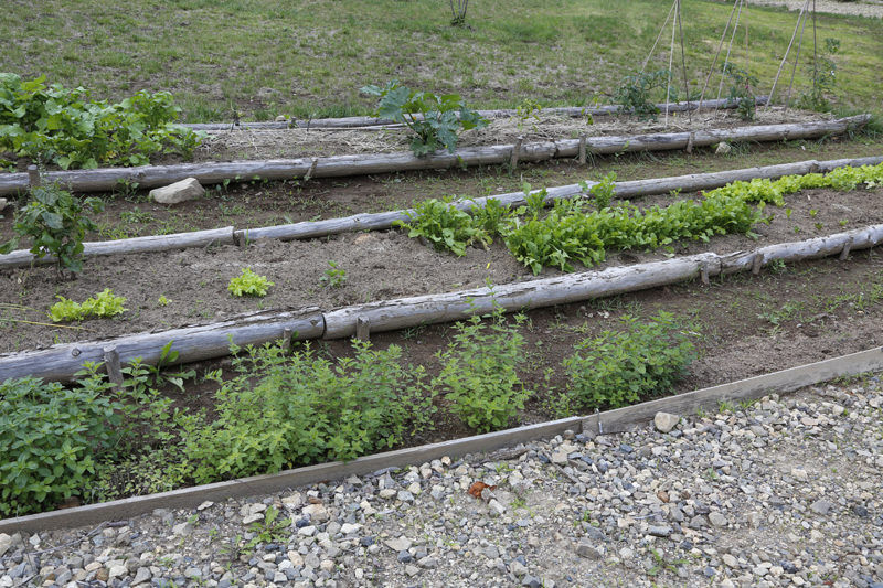 ���ѐߐ� HAPPY OUTSIDE BEAMS vol.12