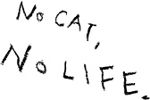 NO CAT, NO LIFE.