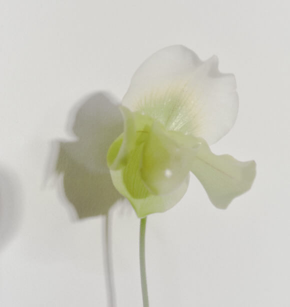 No 6 Misako Yasue BEAMS Yokohama Higashiguchi Shop Staff 168 